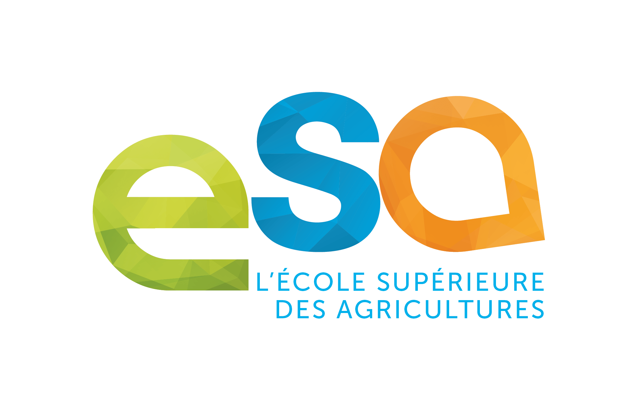 logo ESA 2022