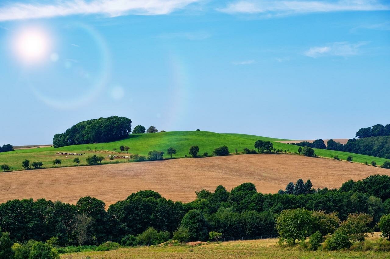 paysage vallonné et haies